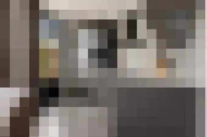 Oude Meer 58 Heythuysen thumbnail 12