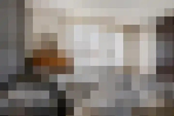 Oude Meer 58 Heythuysen thumbnail 21