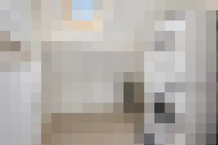 Oude Meer 58 Heythuysen thumbnail 29