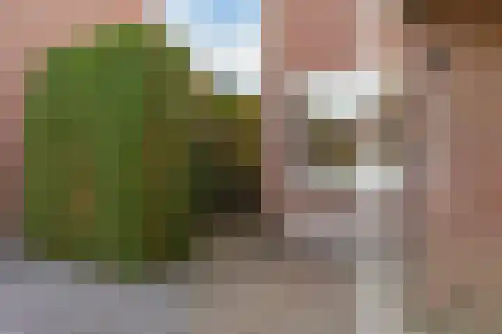 Oude Meer 58 Heythuysen thumbnail 47