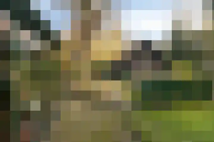 Oude Meerdijk 153 Emmen thumbnail 38