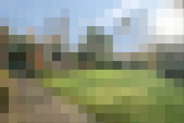Oude Meerdijk 153 Emmen thumbnail 4