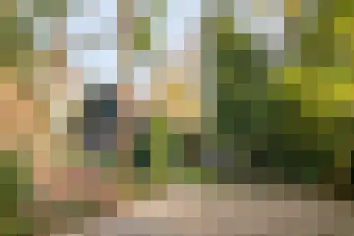 Oude Meerdijk 153 Emmen thumbnail 40