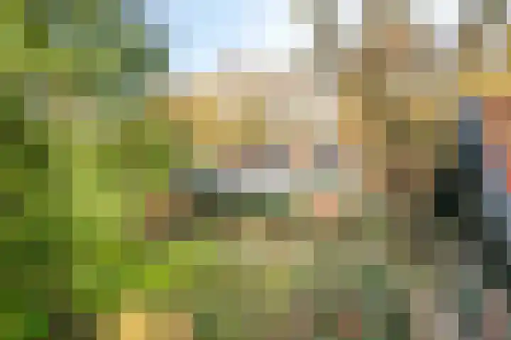 Oude Meerdijk 153 Emmen thumbnail 41