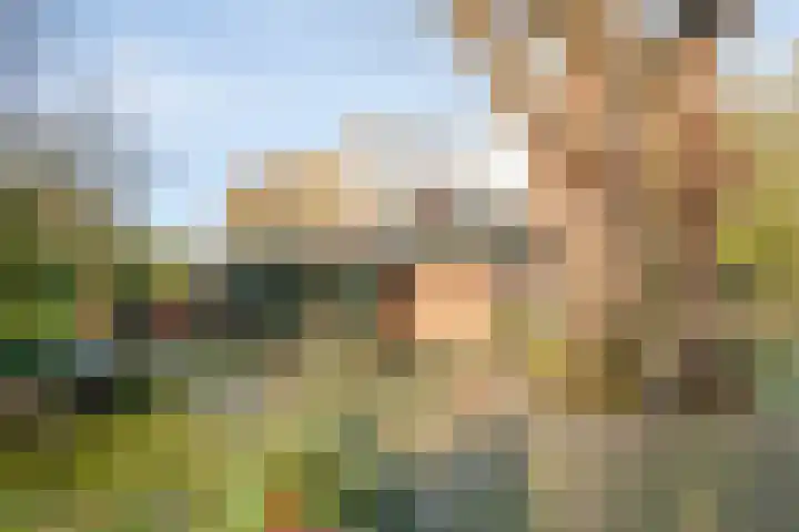 Oude Meerdijk 153 Emmen thumbnail 42