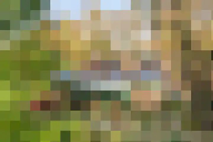 Oude Meerdijk 153 Emmen thumbnail 43