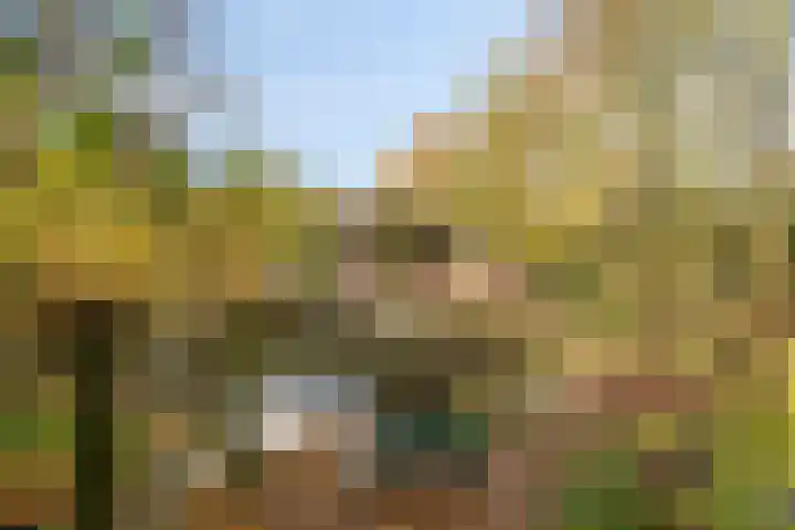 Oude Meerdijk 153 Emmen thumbnail 46