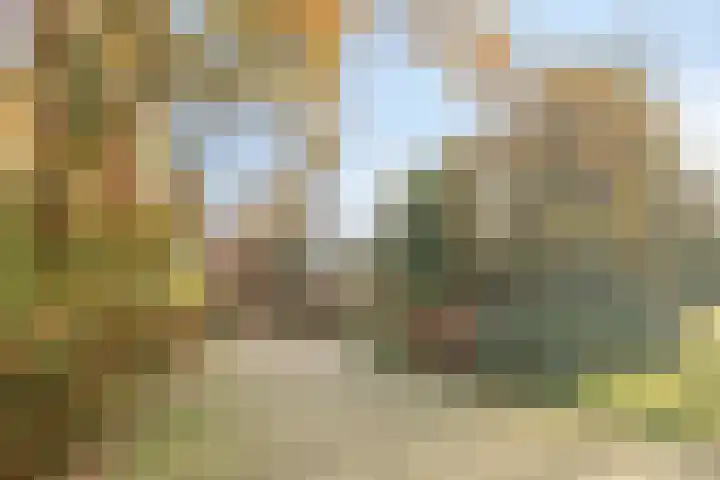 Oude Meerdijk 153 Emmen thumbnail 47