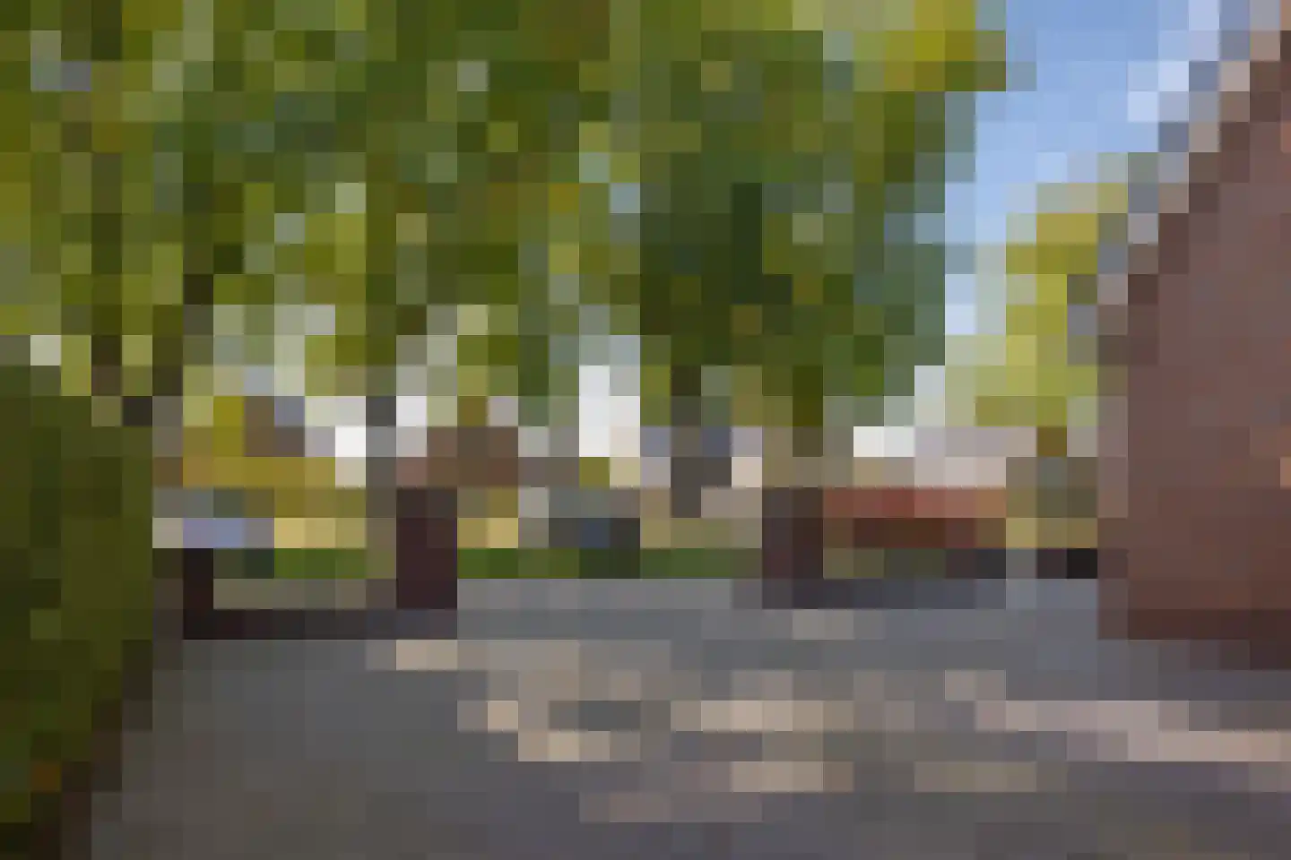 Oude Meerdijk 177 Emmen thumbnail 63
