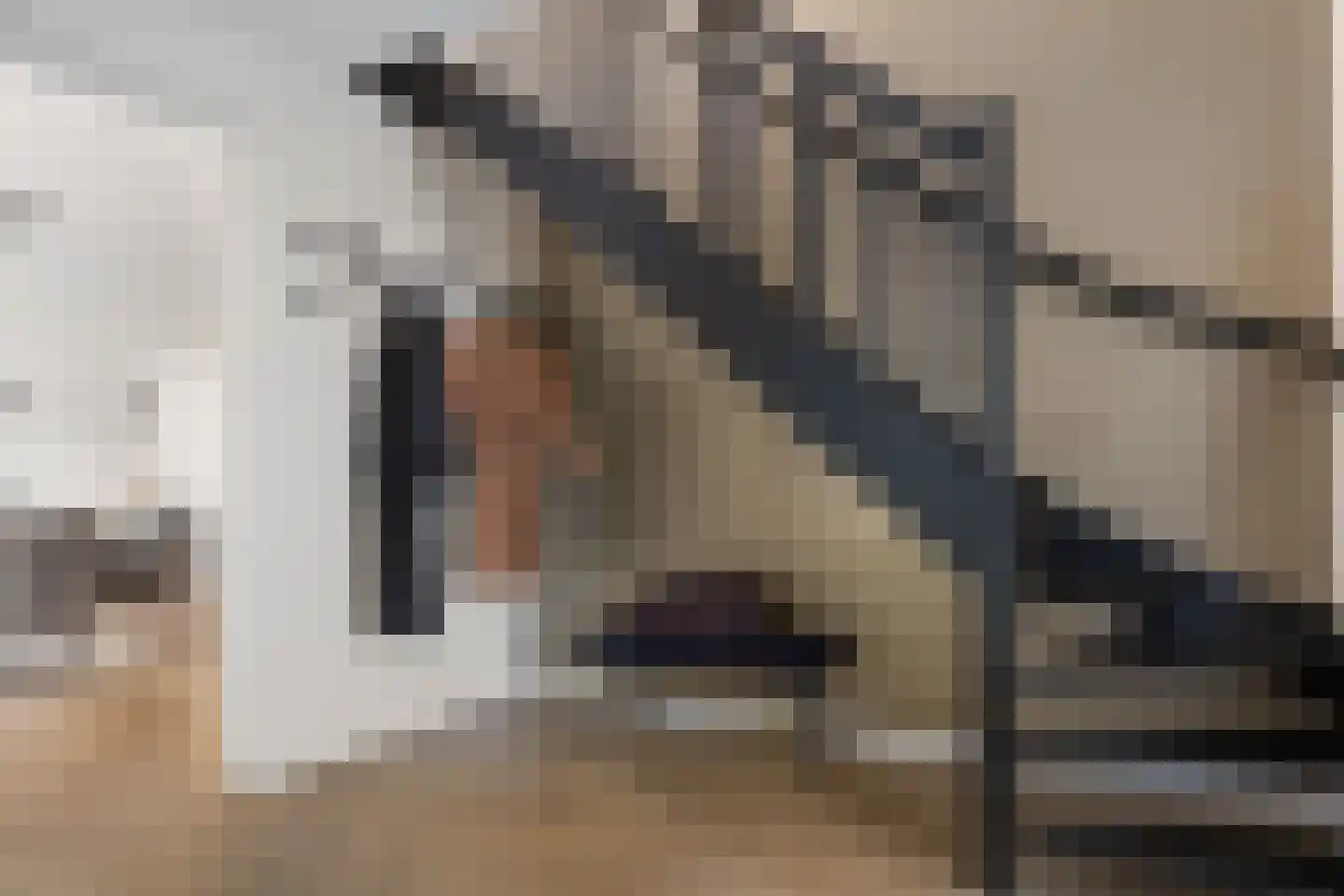 Oude Meerdijk 177 Emmen thumbnail 8