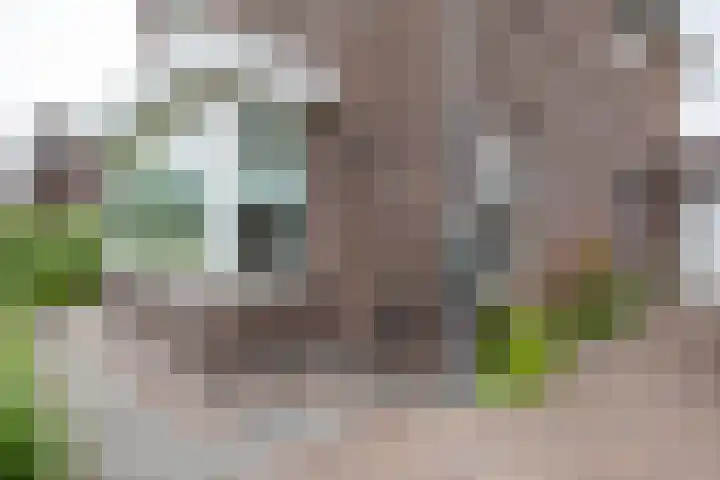 Oude Merenweg 10 Meerstad thumbnail 16