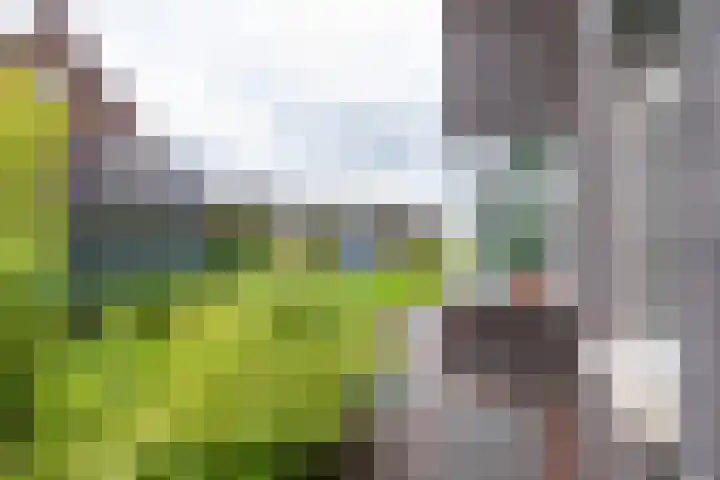 Oude Merenweg 10 Meerstad thumbnail 35