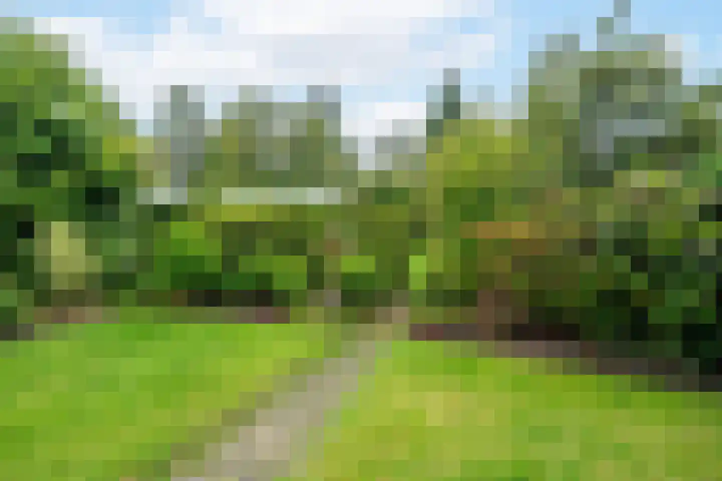 Oude Middelhorst 15 Haren Gn thumbnail 59