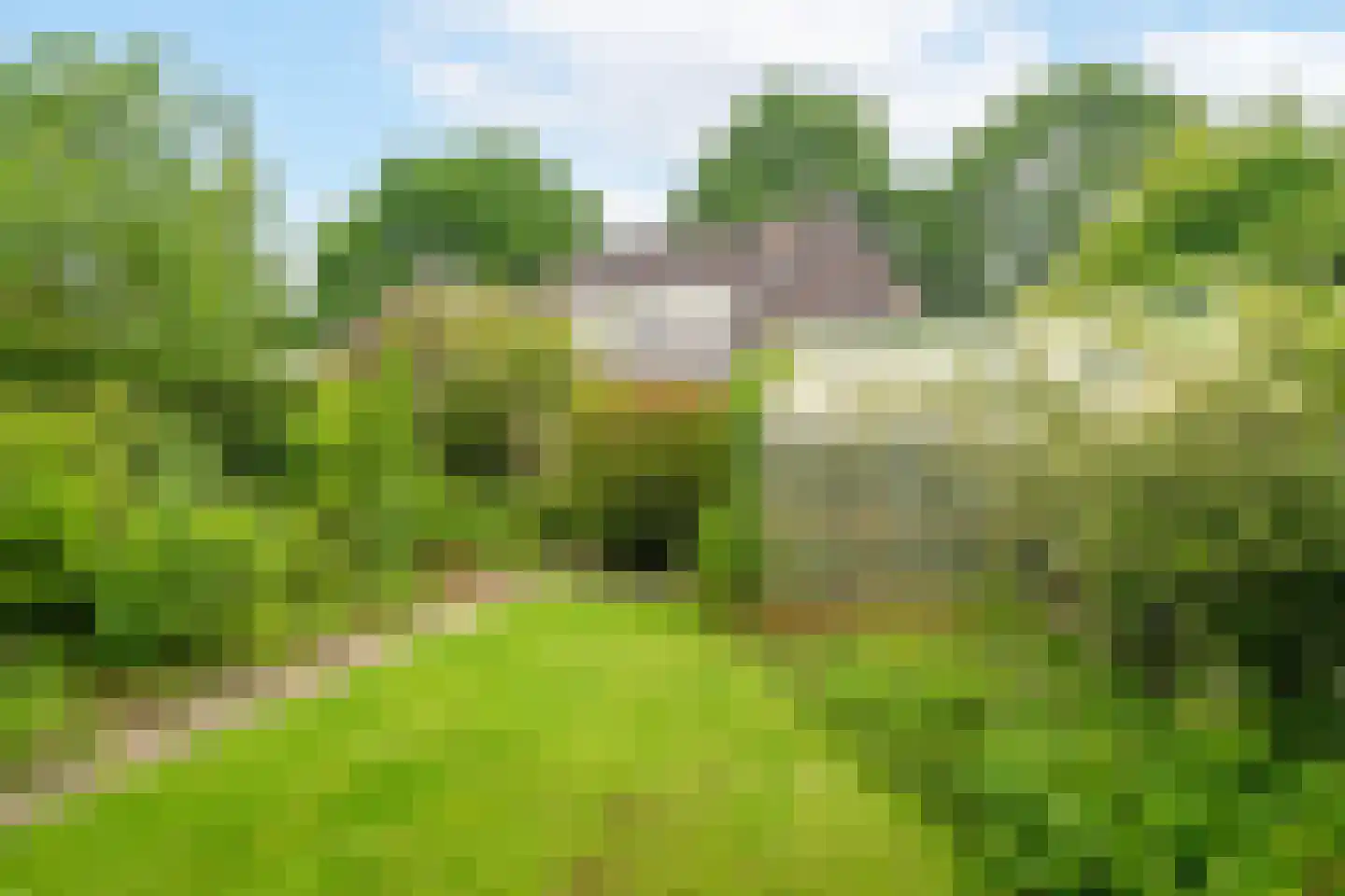 Oude Middelhorst 15 Haren Gn thumbnail 60