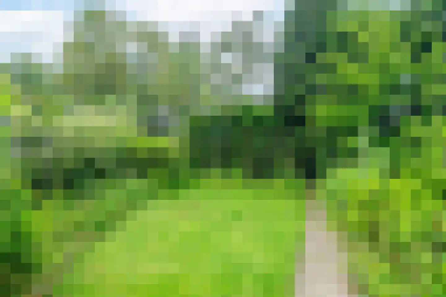 Oude Middelhorst 15 Haren Gn thumbnail 61