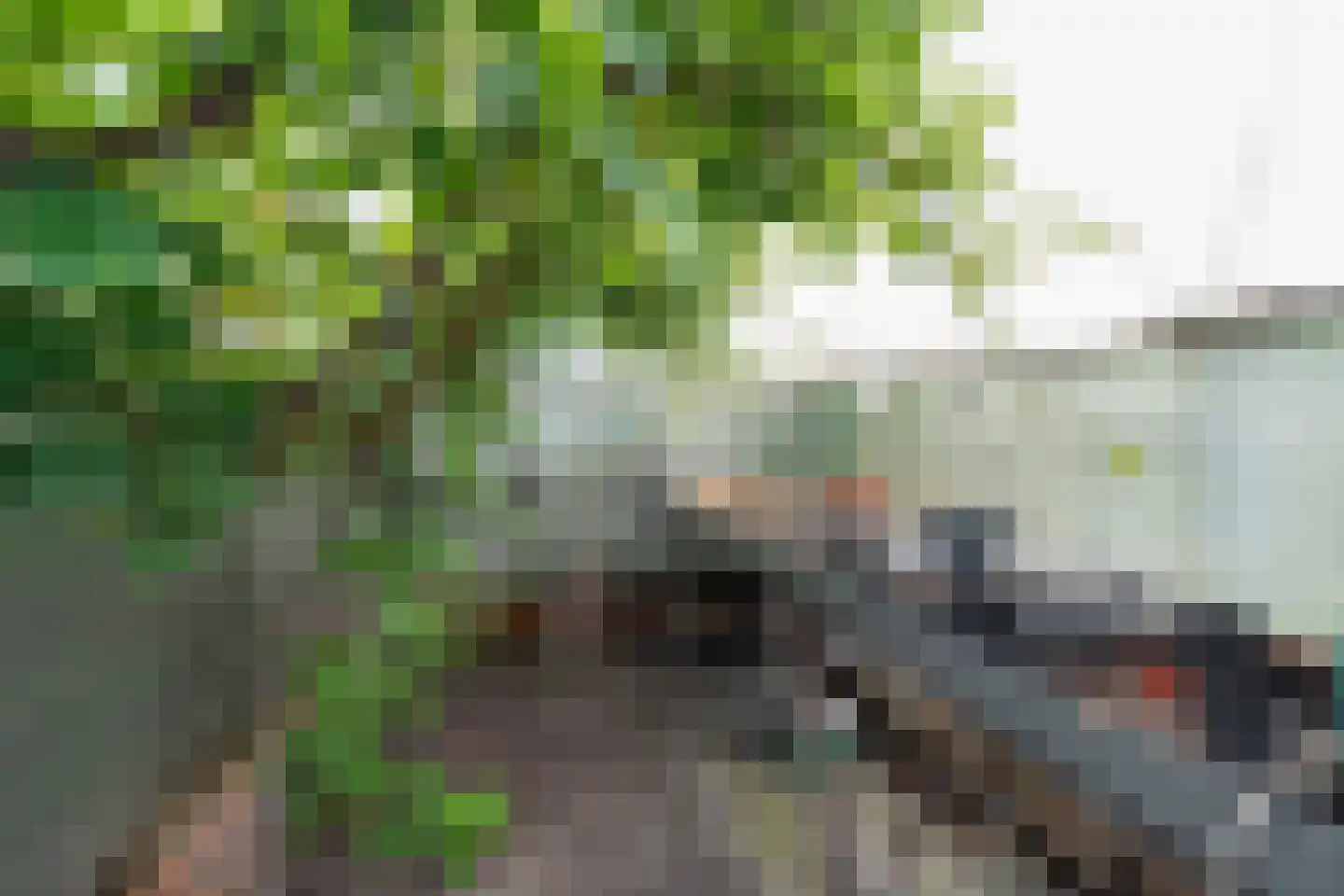 Oude Middelhorst 15 Haren Gn thumbnail 62