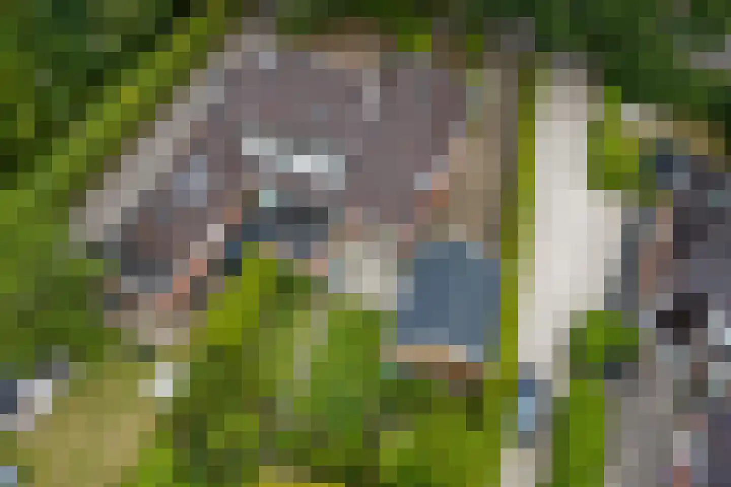 Oude Middelhorst 15 Haren Gn thumbnail 63