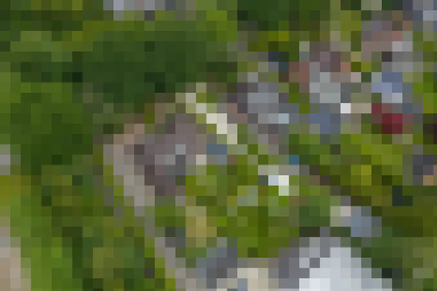 Oude Middelhorst 15 Haren Gn thumbnail 64