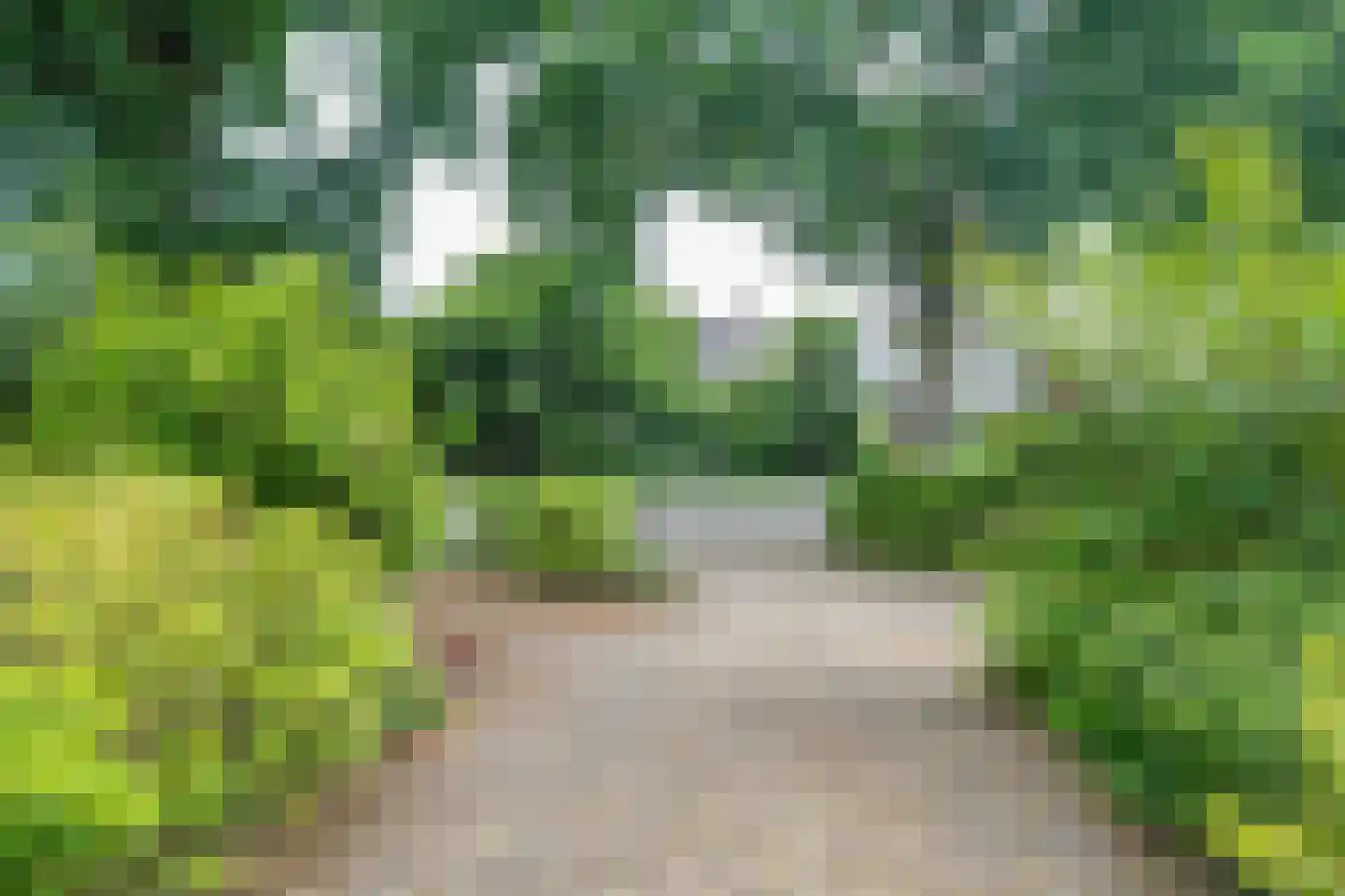 Oude Middelhorst 15 Haren Gn thumbnail 8