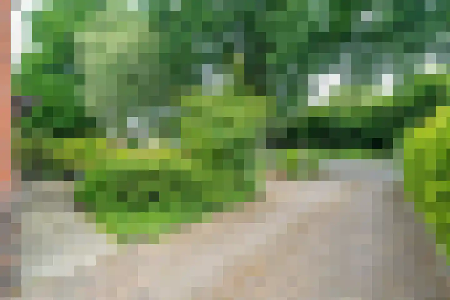 Oude Middelhorst 15 Haren Gn thumbnail 9