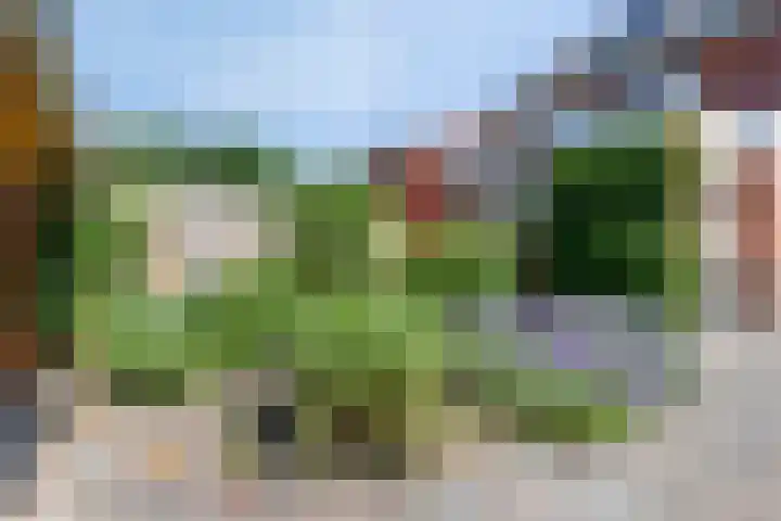 Oude Middelhorst 16 Haren Gn thumbnail 36