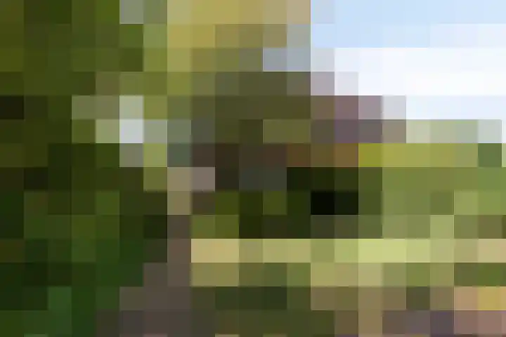 Oude Middelhorst 16 Haren Gn thumbnail 38