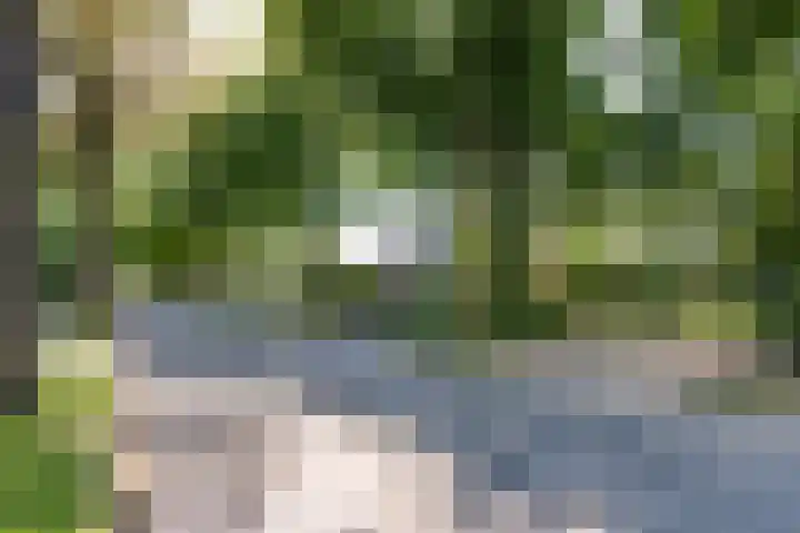 Oude Middelhorst 16 Haren Gn thumbnail 39