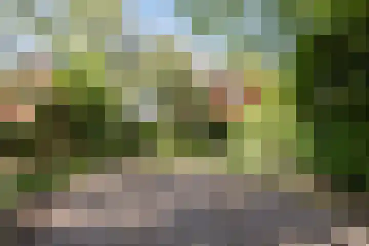 Oude Middelhorst 16 Haren Gn thumbnail 4