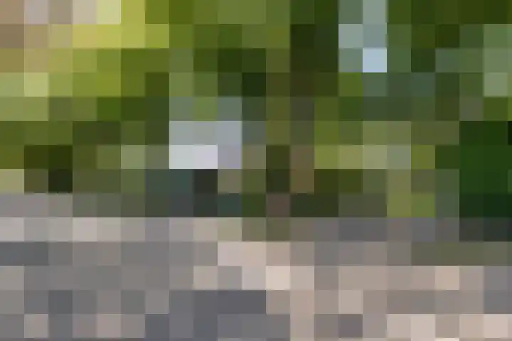 Oude Middelhorst 16 Haren Gn thumbnail 40