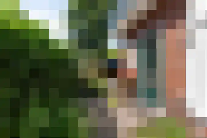 Oude Middelhorst 16 Haren Gn thumbnail 5