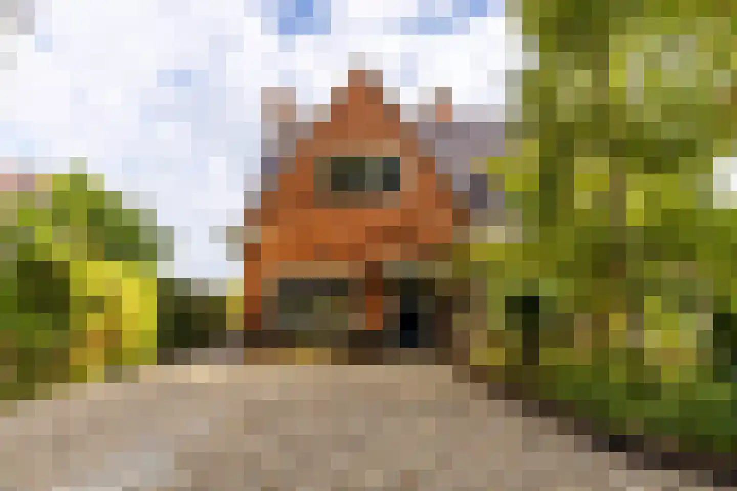 Oude Middelhorst 23 Haren Gn