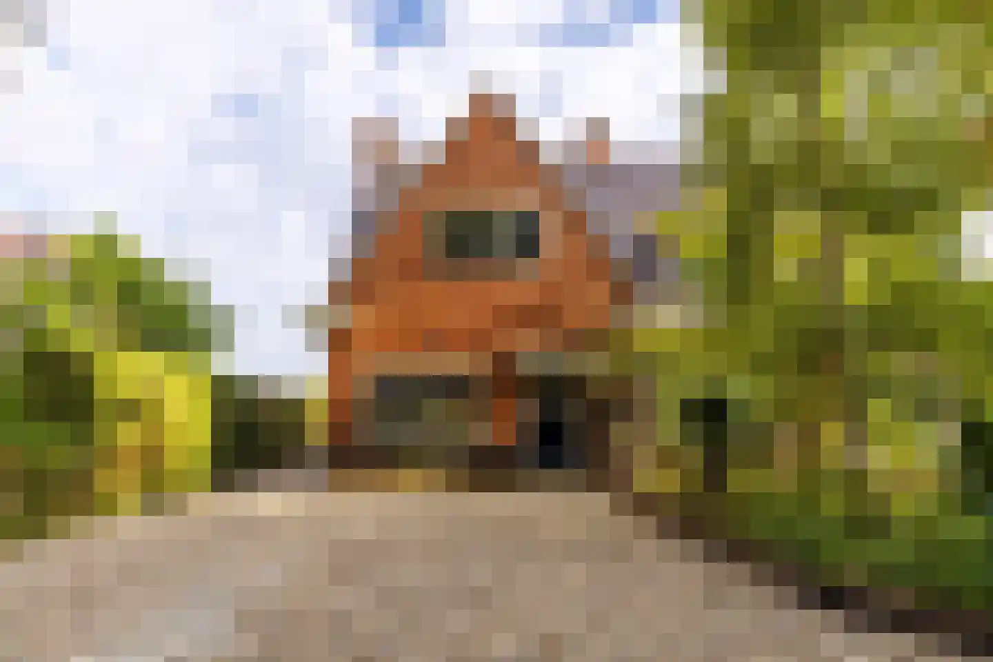 Oude Middelhorst 23 Haren Gn foto 2
