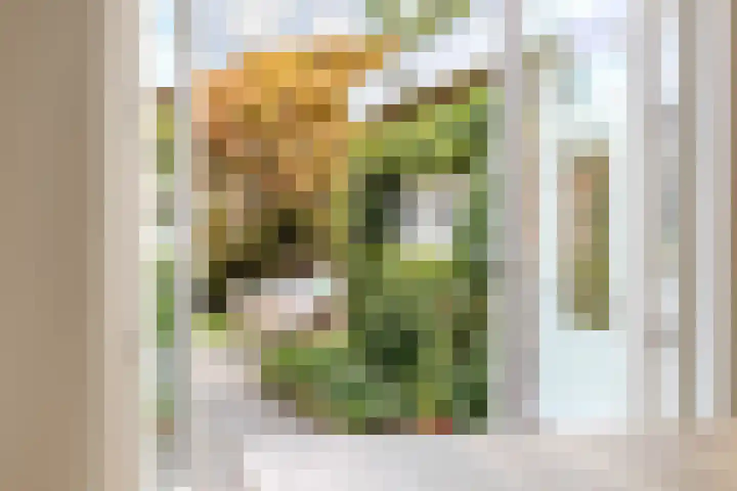 Oude Middelhorst 23 Haren Gn thumbnail 31