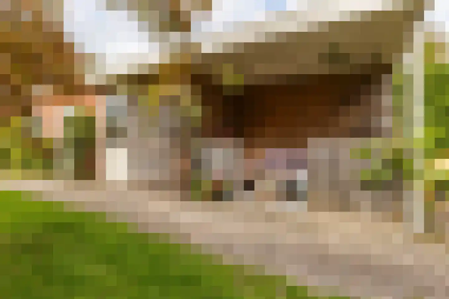 Oude Middelhorst 23 Haren Gn thumbnail 38