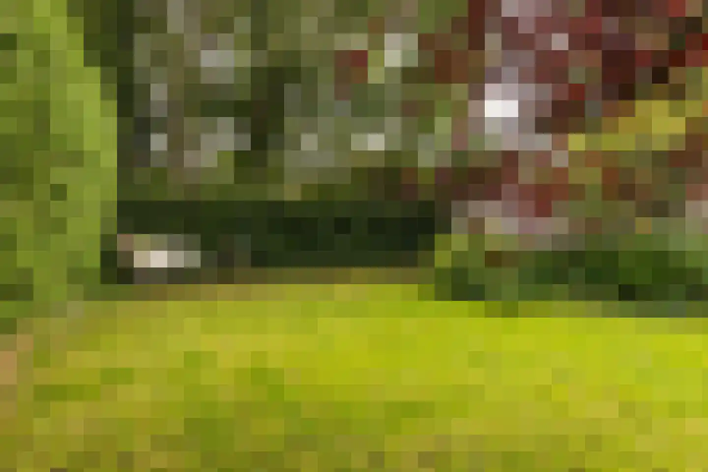 Oude Middelhorst 23 Haren Gn thumbnail 39