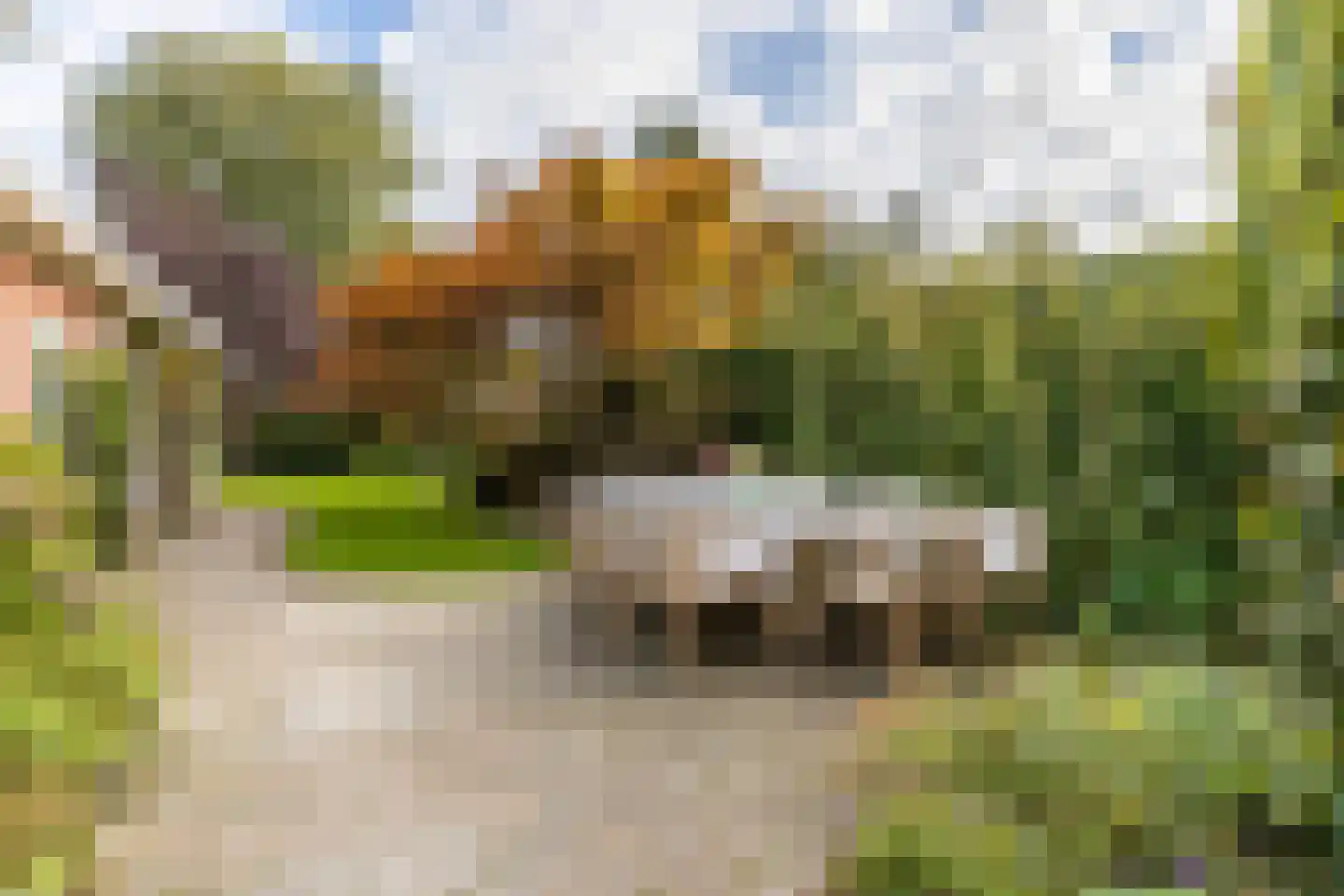 Oude Middelhorst 23 Haren Gn thumbnail 4