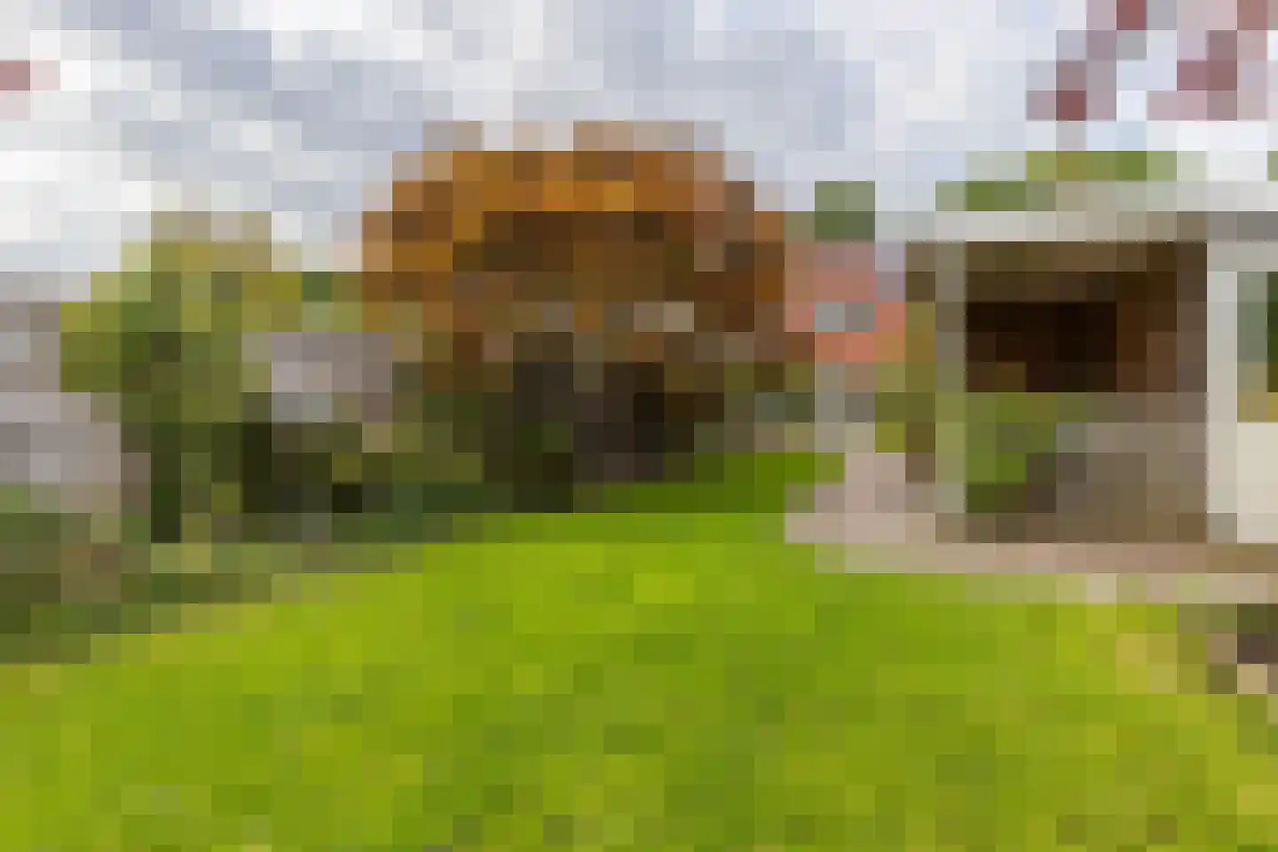 Oude Middelhorst 23 Haren Gn thumbnail 40