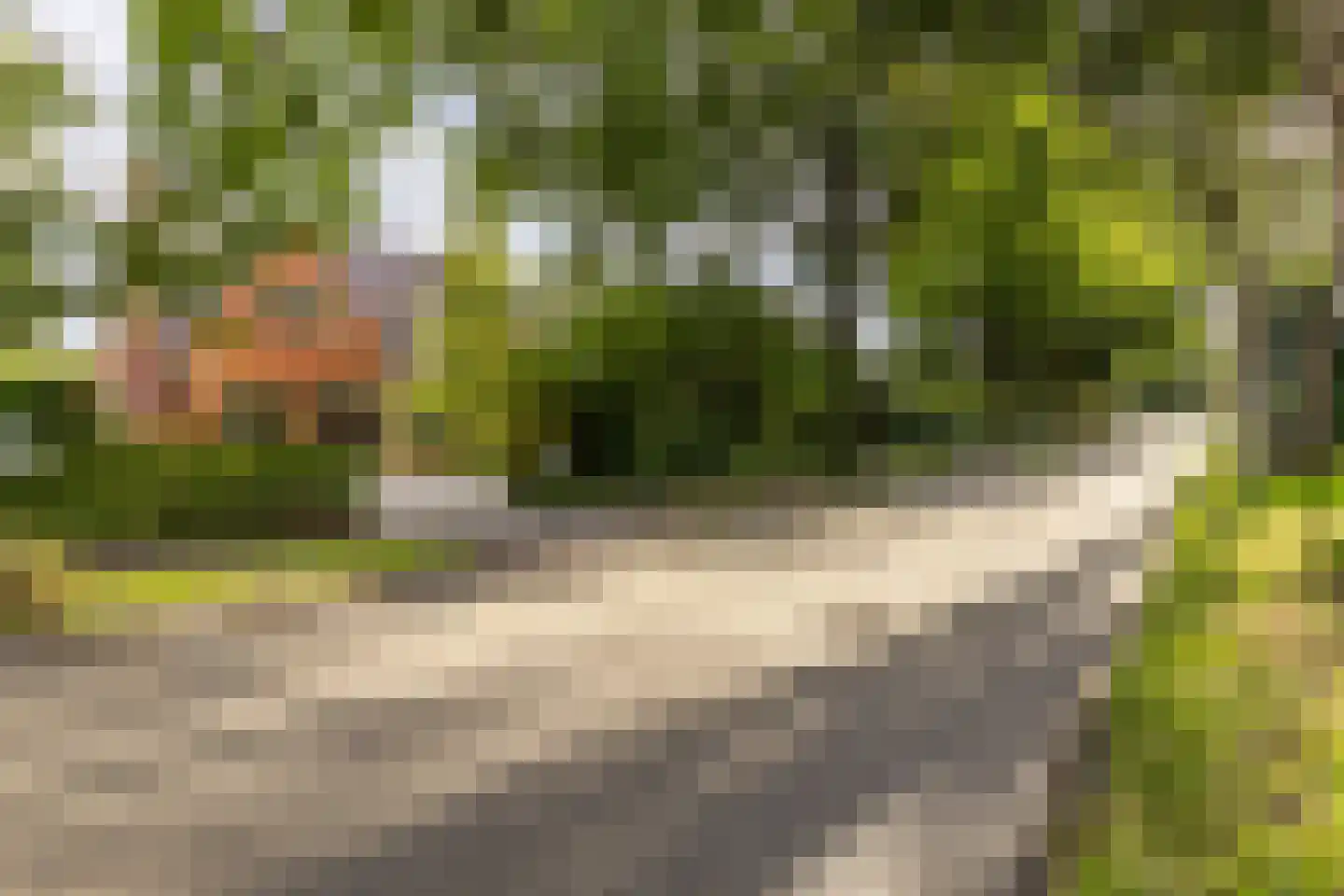 Oude Middelhorst 23 Haren Gn thumbnail 6