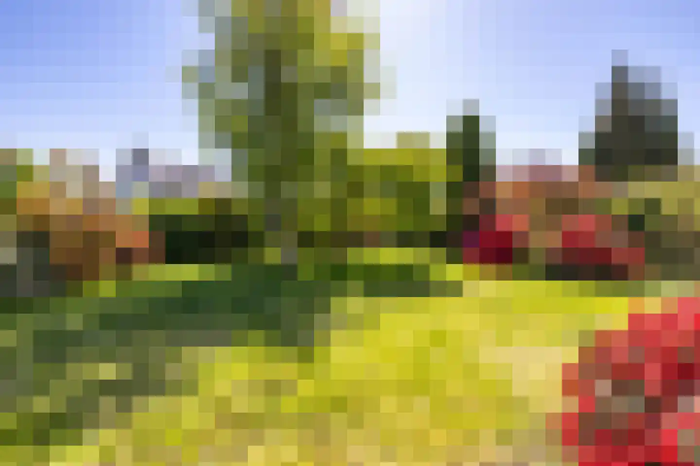 Oude Middelhorst 79 Haren Gn thumbnail 38