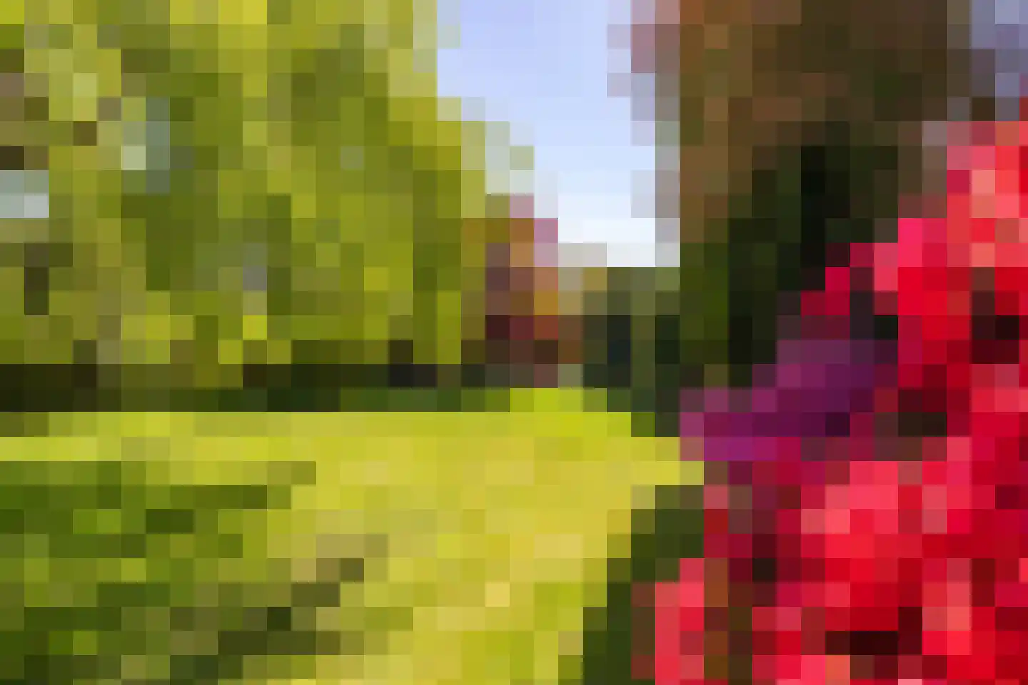 Oude Middelhorst 79 Haren Gn thumbnail 39