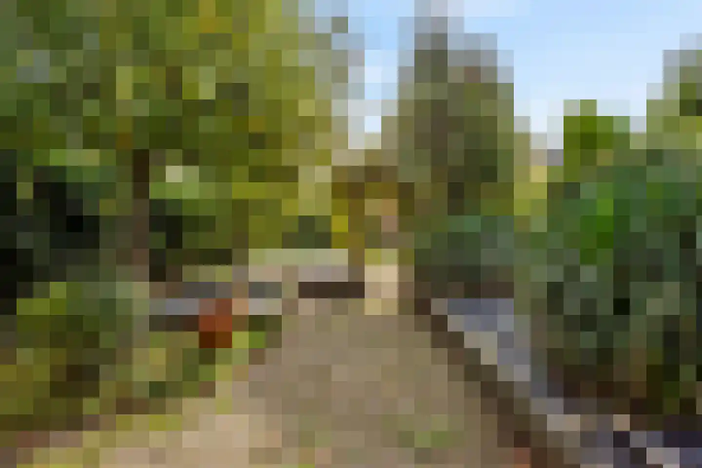 Oude Middenweg 58 Den Haag thumbnail 9