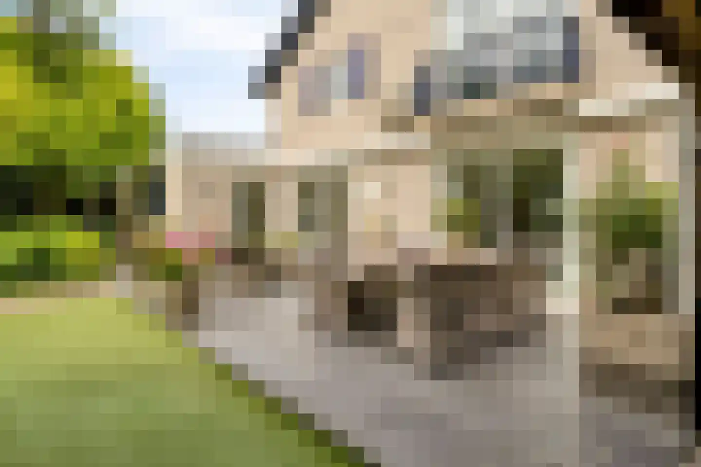 Oude Moerstraatsebaan 54 Bergen op Zoom thumbnail 24