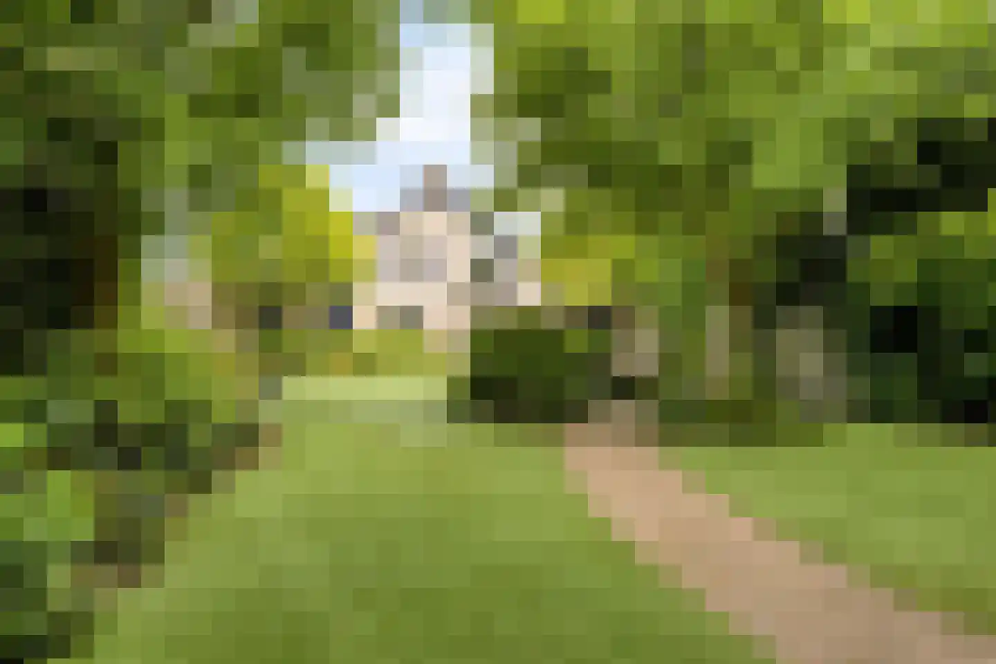 Oude Moerstraatsebaan 54 Bergen op Zoom thumbnail 26