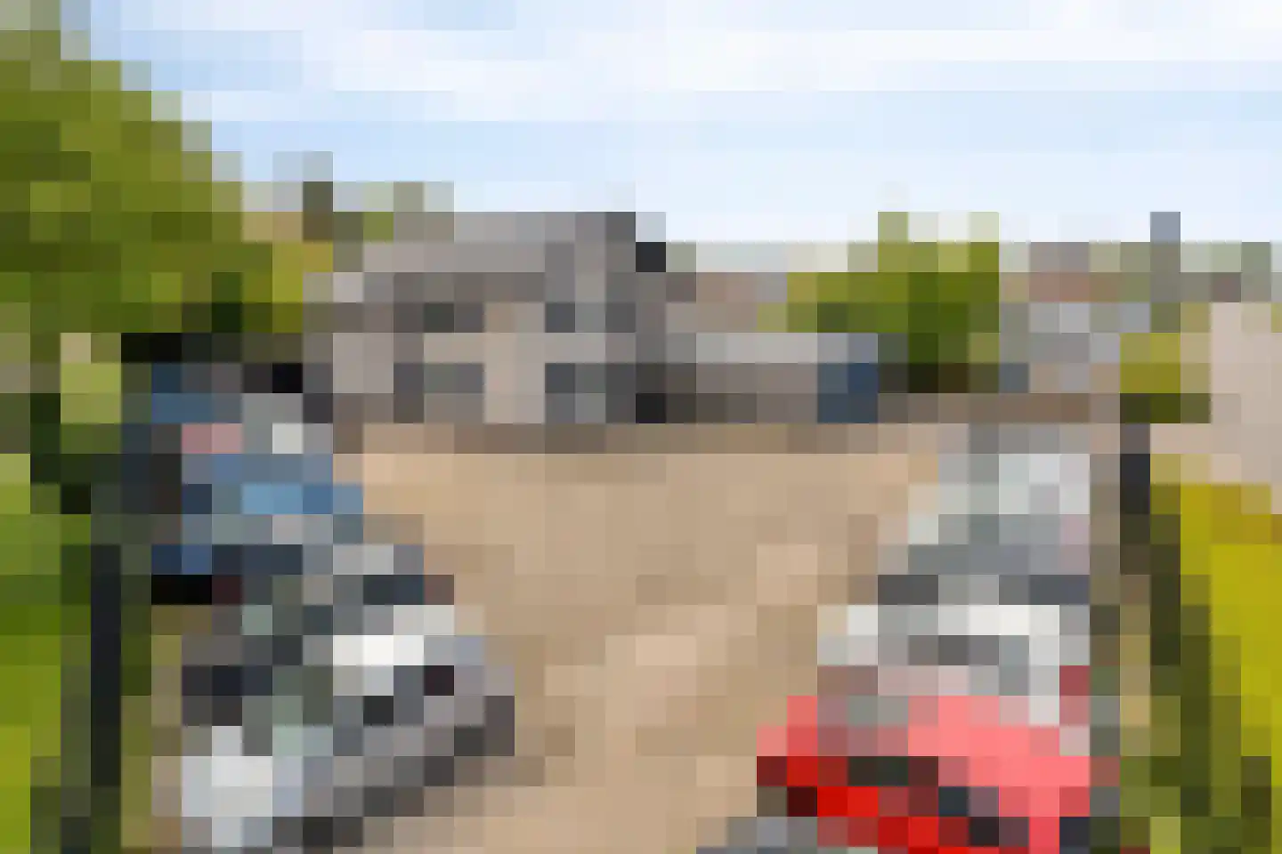 Oude Moerstraatsebaan 54 Bergen op Zoom thumbnail 30
