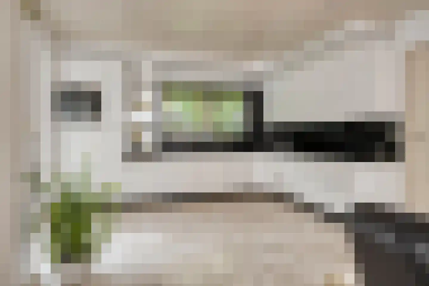 Oude Moerstraatsebaan 54 Bergen op Zoom thumbnail 4