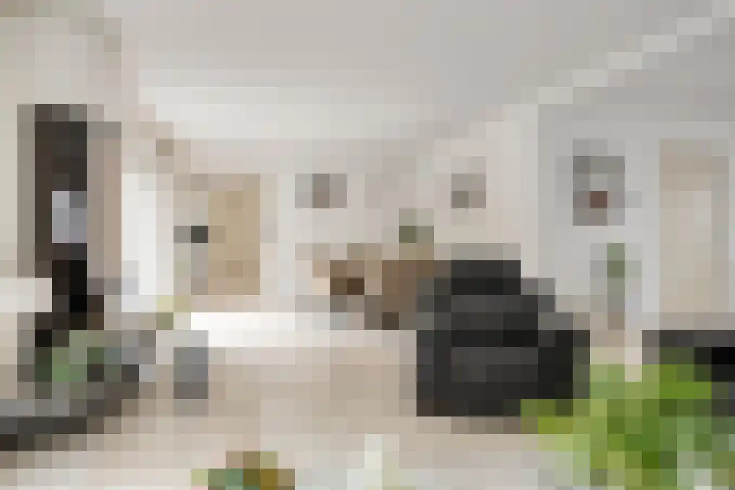 Oude Moerstraatsebaan 54 Bergen op Zoom thumbnail 8