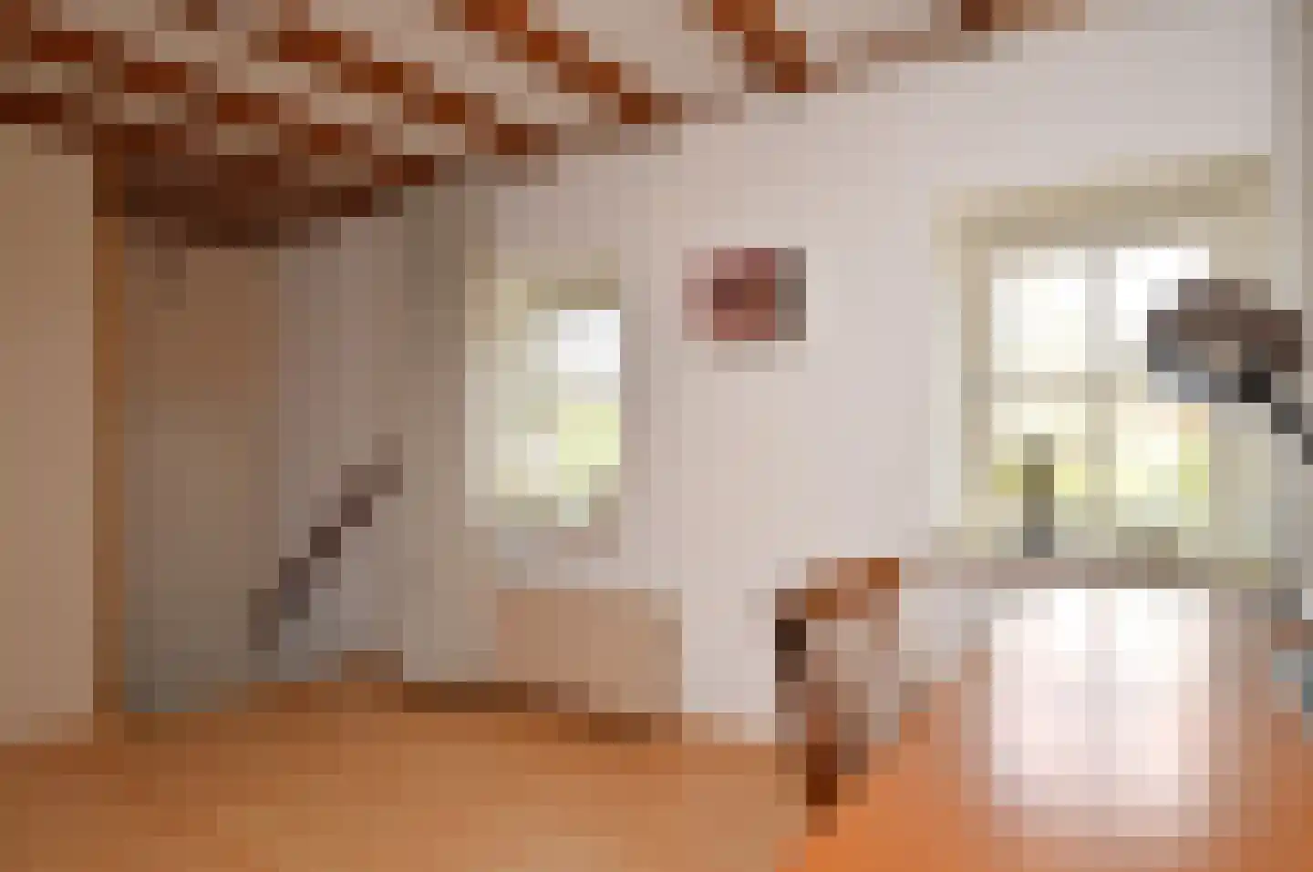 Oude Molen 8 Liessel thumbnail 11