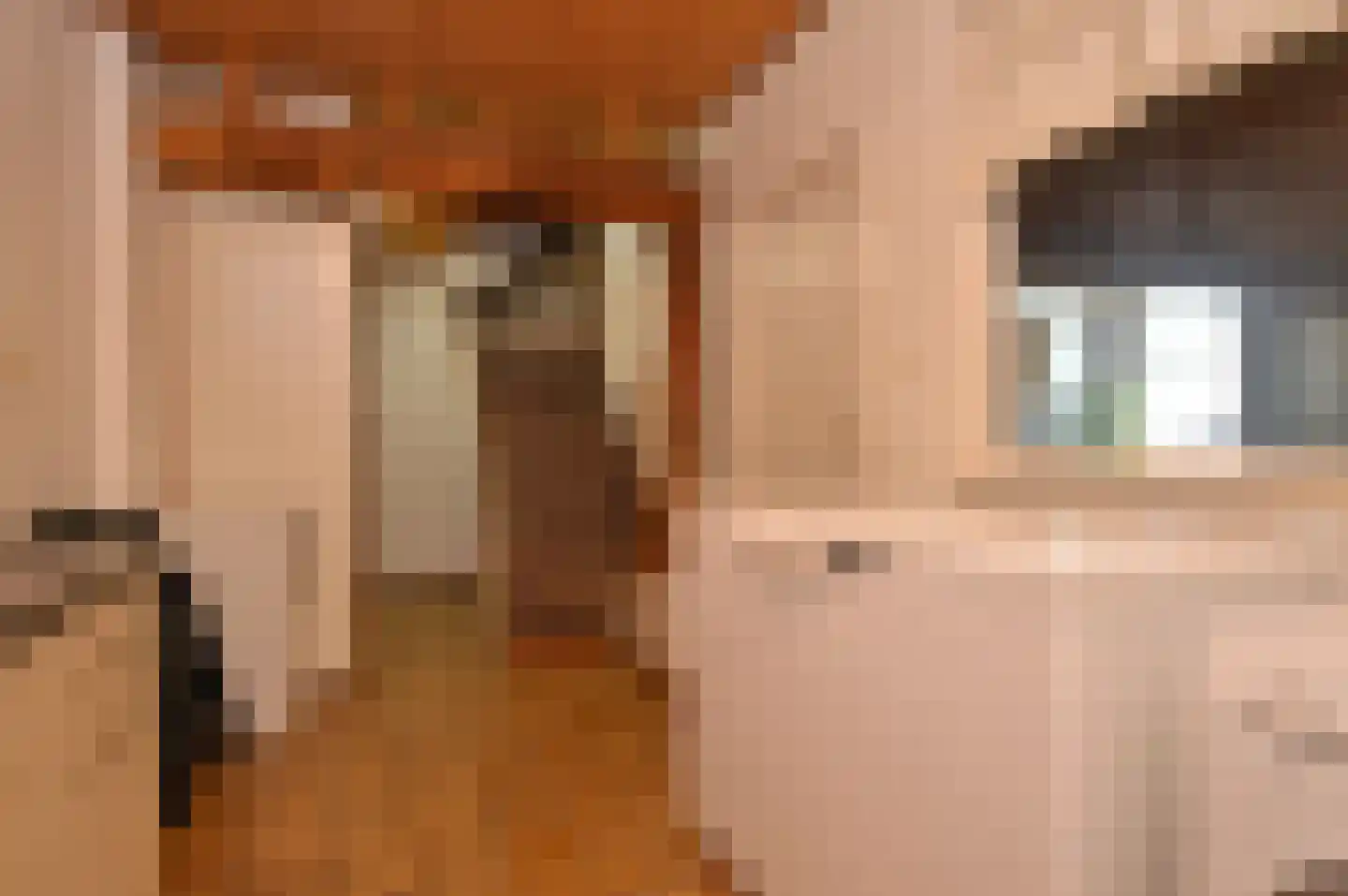 Oude Molen 8 Liessel thumbnail 16