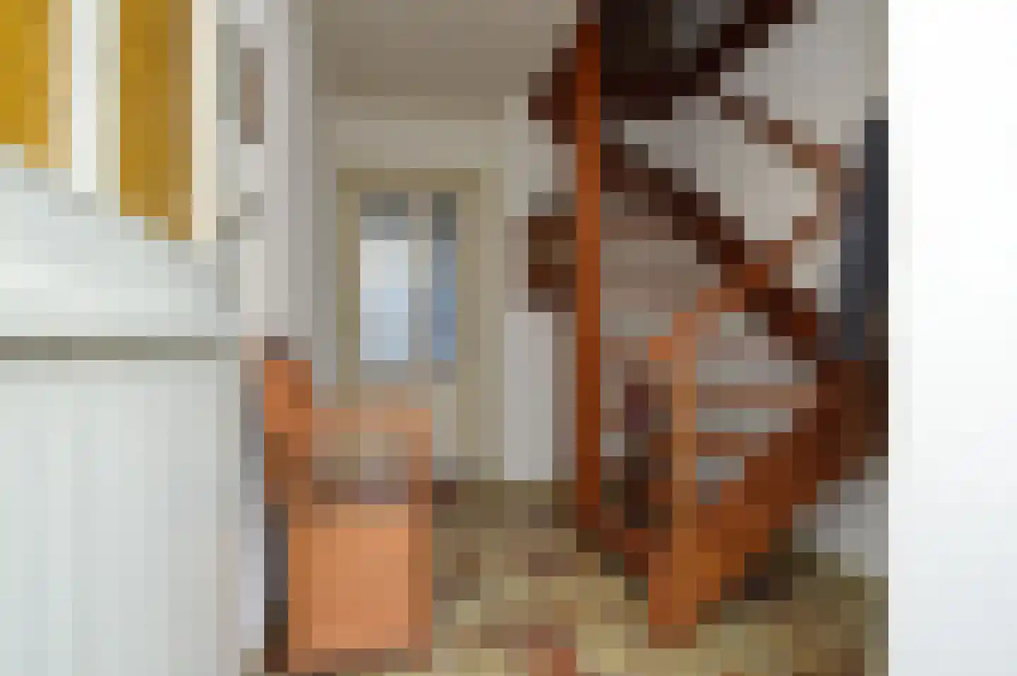 Oude Molen 8 Liessel thumbnail 18