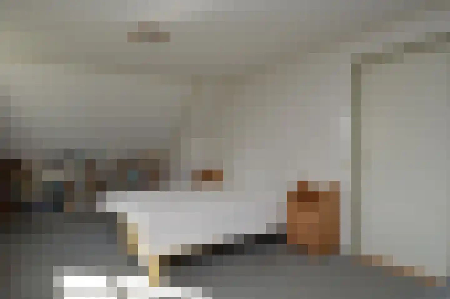 Oude Molen 8 Liessel thumbnail 23
